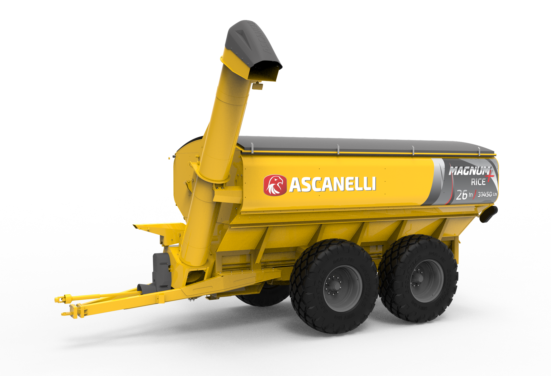 TOLVA ASCANELLI RICE ARROZ
