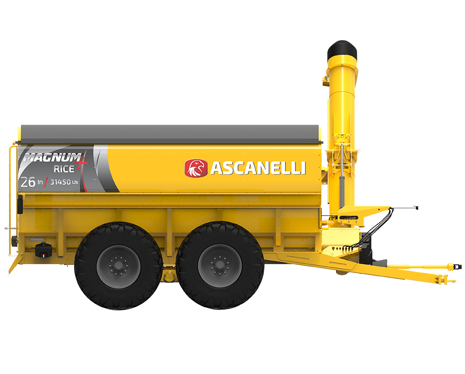 TOLVA ASCANELLI RICE ARROZ 02 WEB